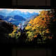 cherry-mobile-titan-tv-s320-review