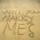 46_ideas_on_how_to_propose