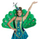 Peacock Costume