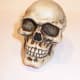 Here's what a skull looks like