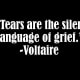 Voltaire Quote