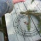 Fixing the First Evergreen Fronds to the Frame