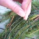 christmaswreathhowtomakeanevergreenwreath