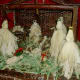 mangers-or-nativity-scene-displays-using-recycled-materials