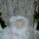 mangers-or-nativity-scene-displays-using-recycled-materials