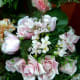 Old Fashioned Roses are a romatic choice.