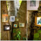 Photographs hung on trees