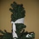 how-to-get-the-christmas-tree-back-in-the-box