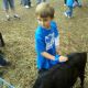 Taking care of the animals at the petting zoo.