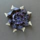 The finished rosette.