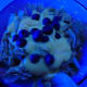 This is regular salad dressing with blueberries and chicken pieces.