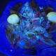 This salad has different colored glowing parts that come together to make a fun and yummy dish. The eggs are yellow, the veggies have a pink tint, the tortilla strips look really white, and the oranges have left an orange trail along the plate's edge