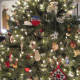 My tree.