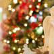 An angel is often placed at the top of a Christmas tree.