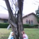 Same set around a tree.