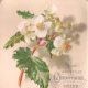A late 19th century Christmas card