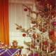 A Christmas Tree in Germany