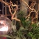thanksgiving-centerpieces-using-succulents-and-other-drought-resistant-plants