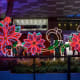 Illuminated poinsettias outside the Mandarin Hotel in 2019. The prefect selfie backdrop.