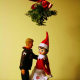 The Mistletoe . . .