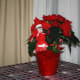 elf-on-the-shelf-again-ideas