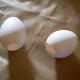 Empty and dry eggshells.