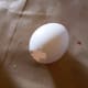 An egg with a hole punched in it.