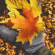 Fall's color palette is so diverse. Each leaf's hue is unique.
