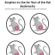 Graphic template for Year of the Rat bookmarks. To print a pdf, click on the orange link above in this article.