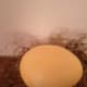Natural Dye Egg