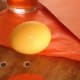 Process/Materials for Easter Chick Egg