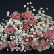 24 Roses