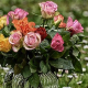 13 Roses