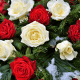 Rose Color Combinations