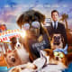 lets-talk-about-the-worst-films-of-the-decade-2010