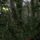 predator-1987-a-thrill-of-the-hunt-movie-review