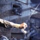 predator-2-1990-a-concrete-jungle-movie-review