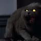 Creepy ass cat... 1989