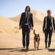 john-wick-chapter-3-parabellum-2019-movie-review