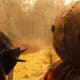 lets-talk-about-the-best-halloween-films