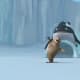 Whale phases through igloo.