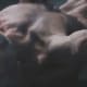 Look at that human flesh that is totally human flesh and not digital plastic.