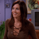 the-hairvolution-of-monica-geller-from-friends