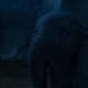 tim-burtons-dumbo-2019-movie-review