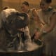 tim-burtons-dumbo-2019-movie-review
