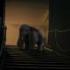 tim-burtons-dumbo-2019-movie-review