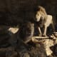 the-lion-king-2019-a-ranting-movie-review
