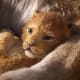 Tiny, adorable lion cub... in 3D!