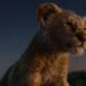 the-lion-king-2019-a-ranting-movie-review