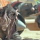 lets-talk-about-star-wars
